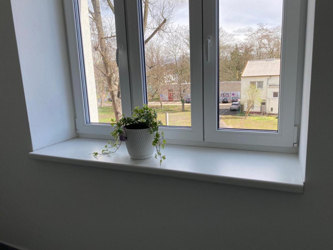 Apartament Perla Hradce 401 Hradec Králové Zewnętrze zdjęcie